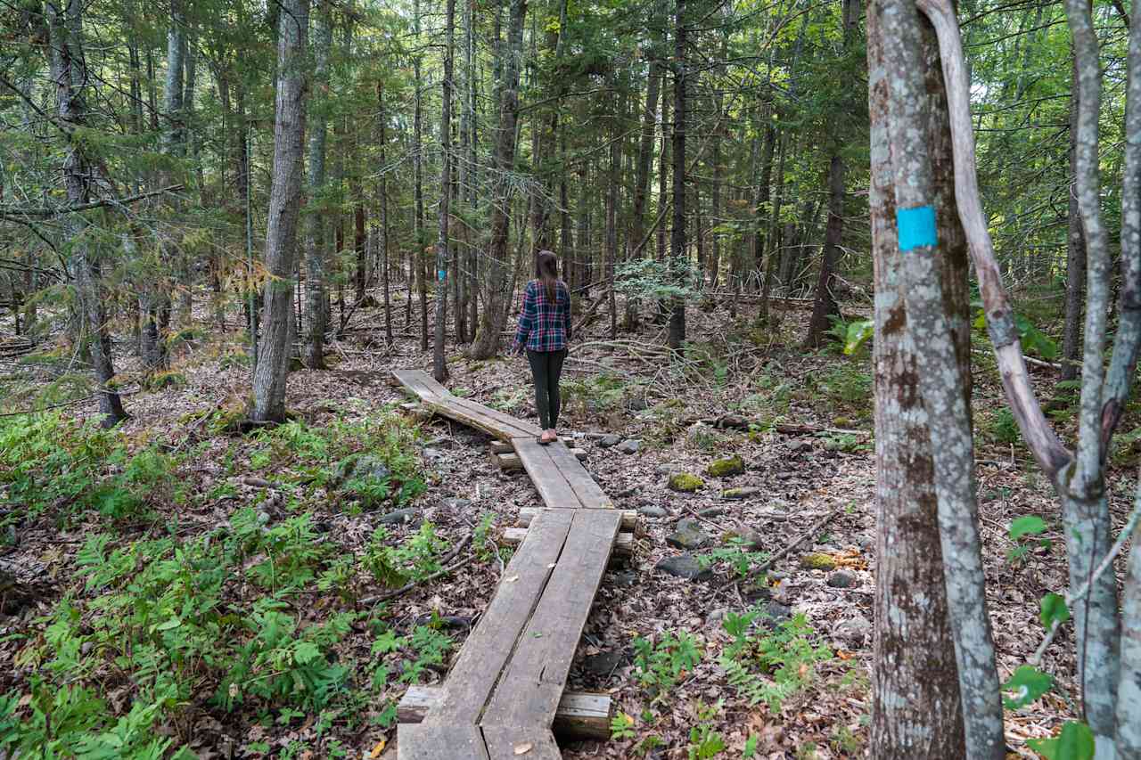 Taft Point Preserve and the Frenchman Bay Conservancy trails.