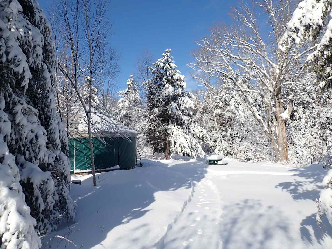 Private 4 Season Yurt Close to Town