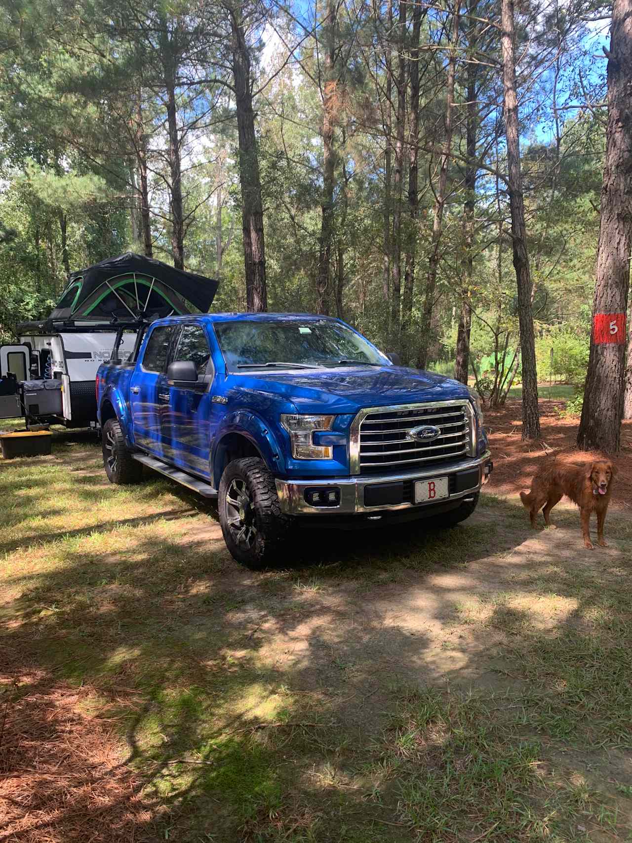 Cedar Creek Campground at Elease