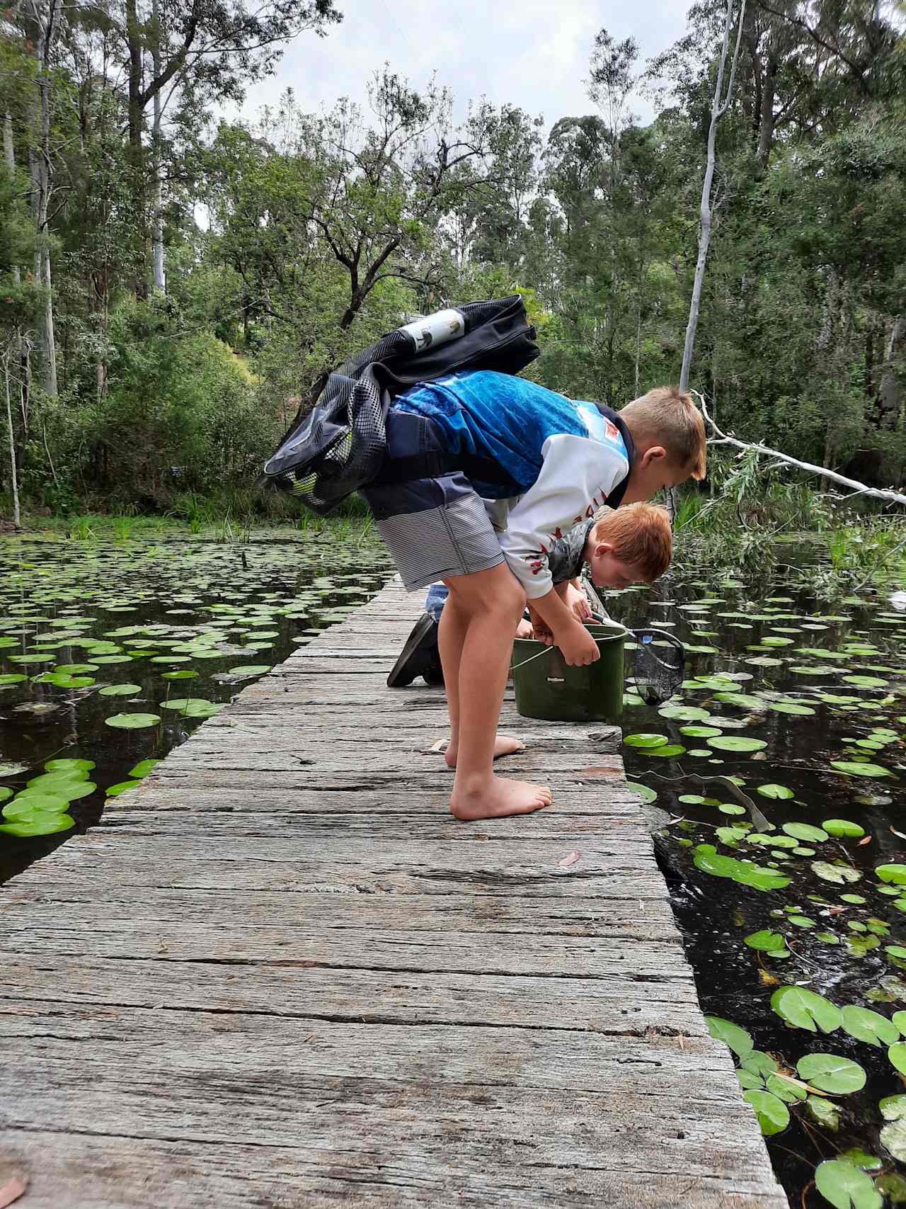 Kiddies Explorer what's in the creek