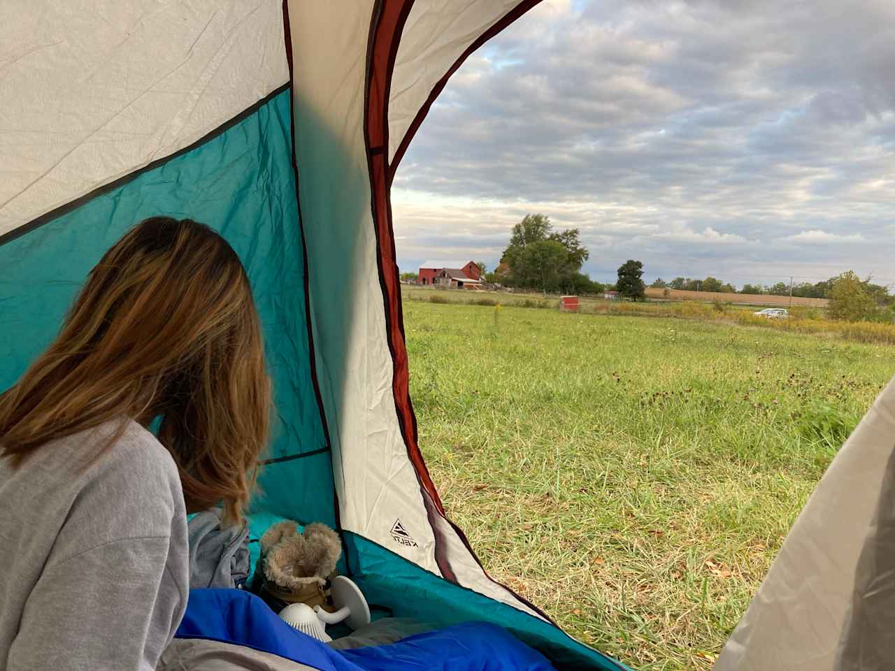 Morning view