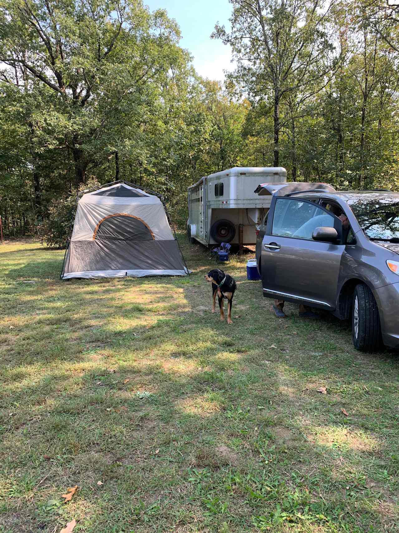 Found our spot in the orchard area set aside for hipcampers