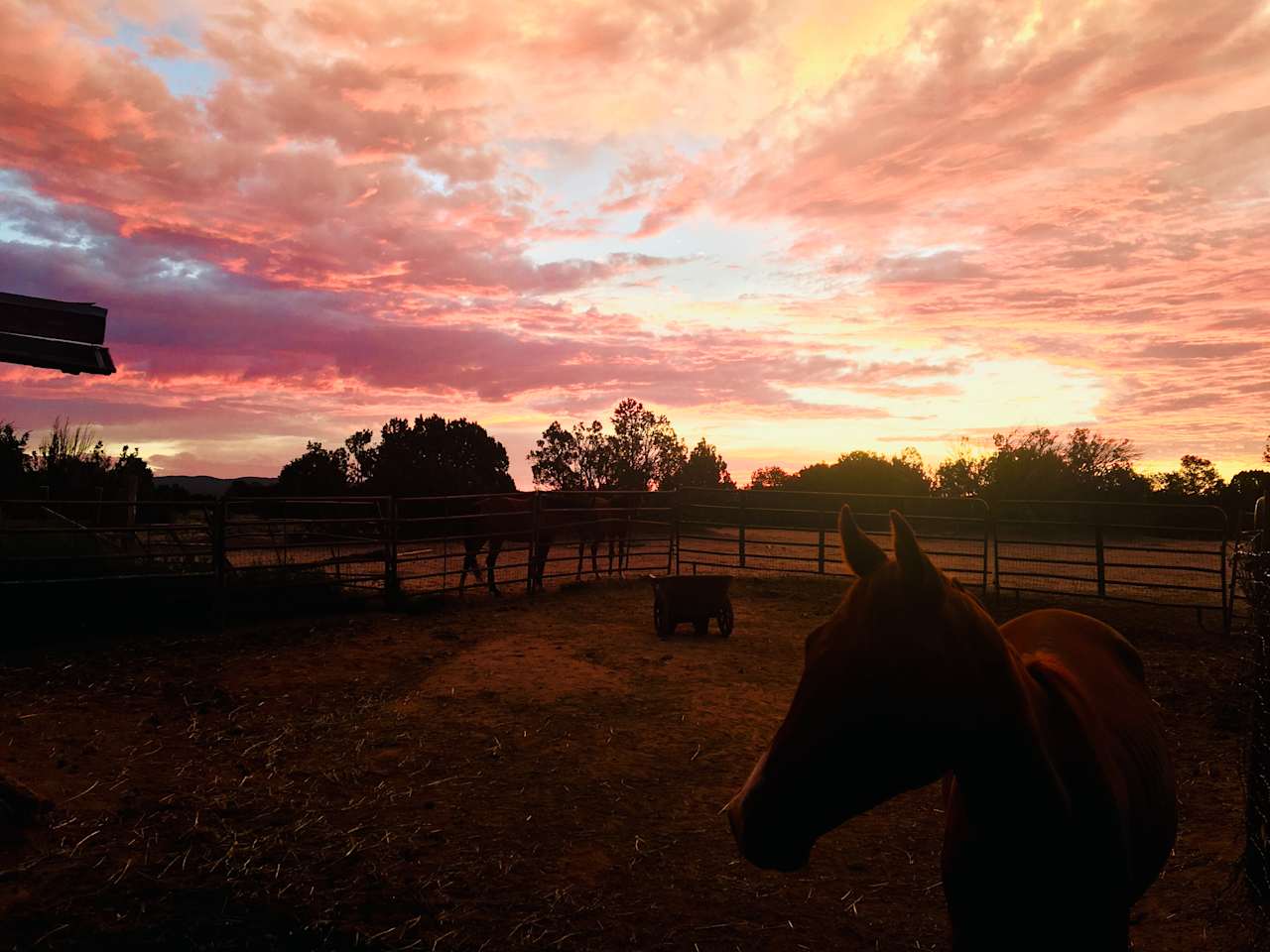 Las Sabinas Ranch