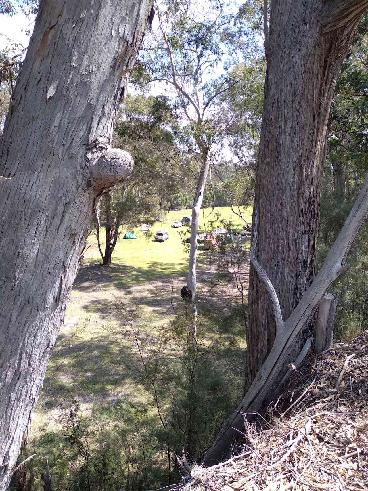 5. Secluded Amphitheatre Bushcamping plenty of room to share with family or friends