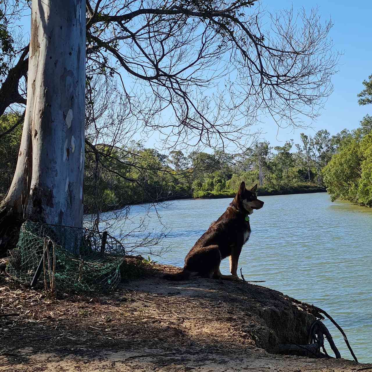 Peaceful Riverside Camping