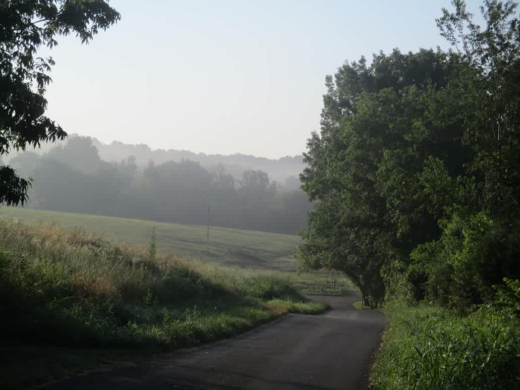 Road view to the east