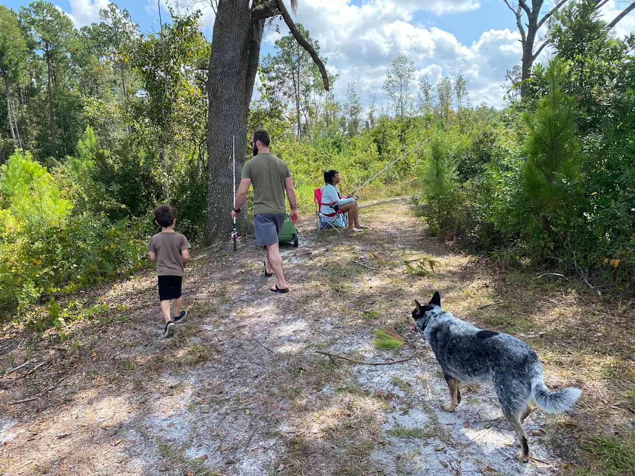 Trail around the water