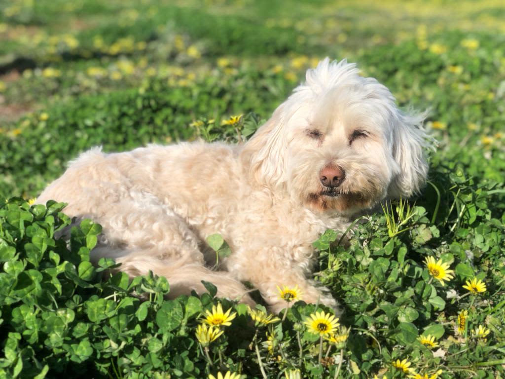 Relaxing on the green.