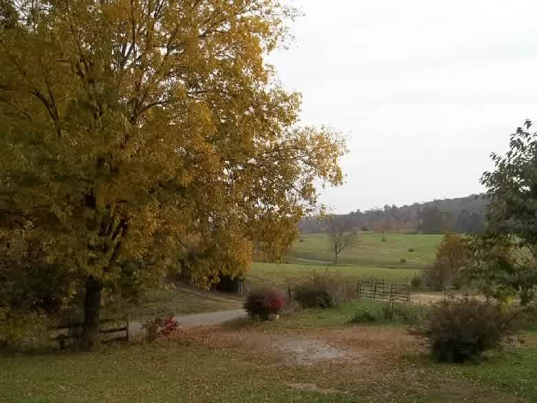 Looking east from house