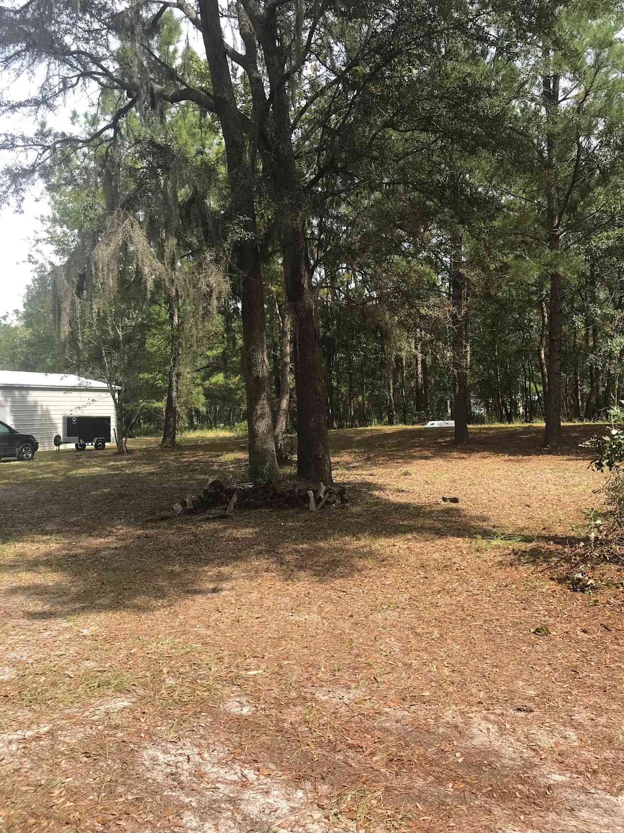 New Earth Rising, near FL SPRINGS