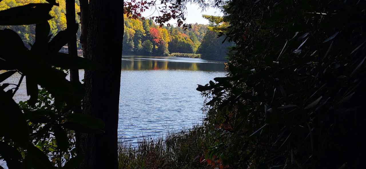 Beartree Campground