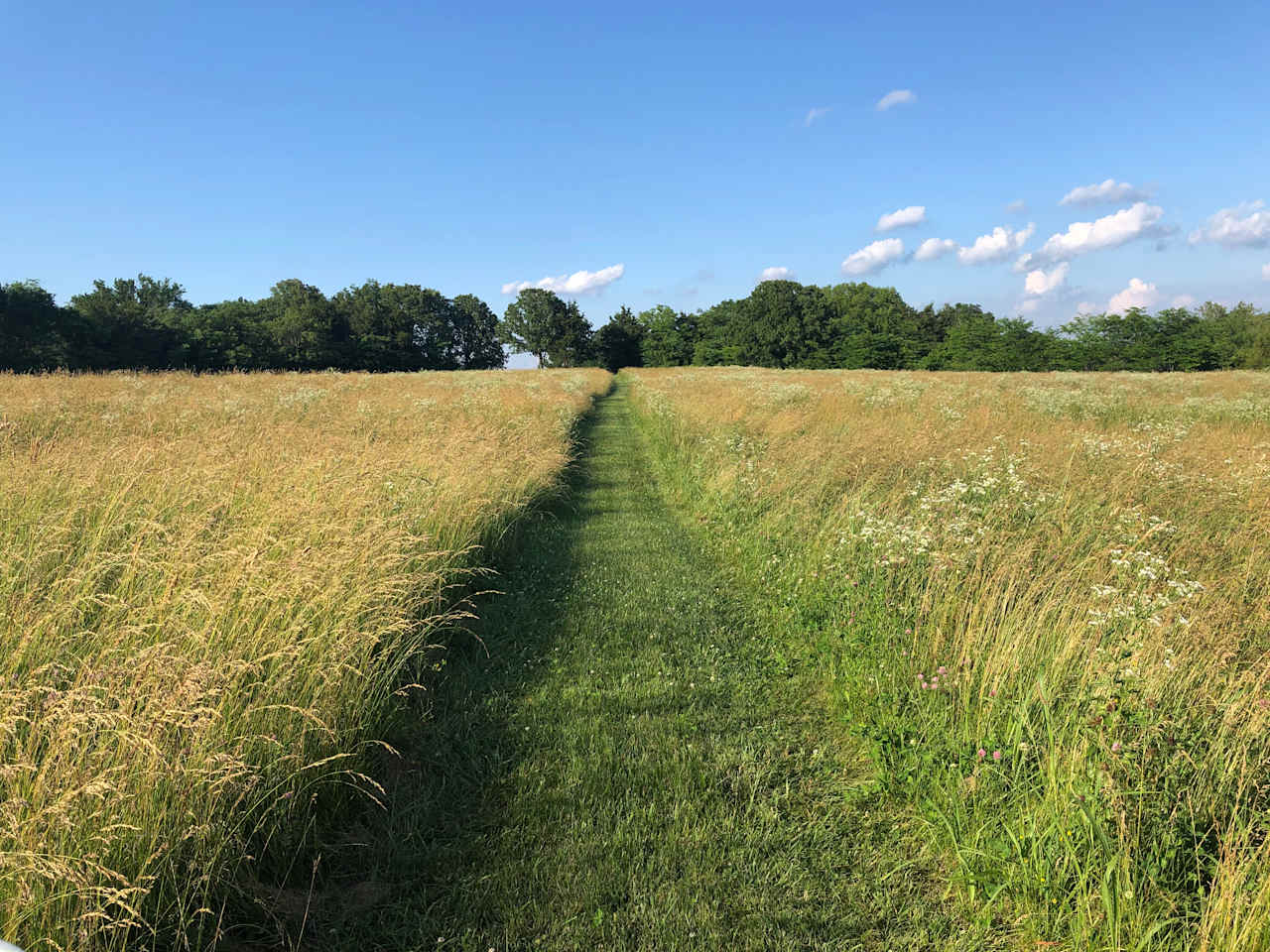 Trail from Campsites to pond.