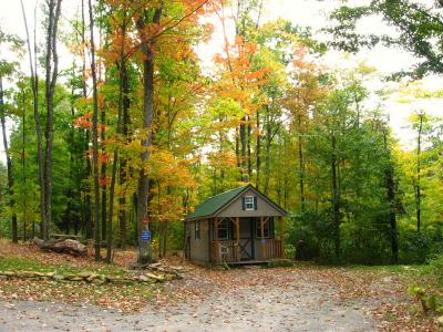 A departing view in Fall.