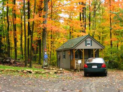 Early October leaf foliage.