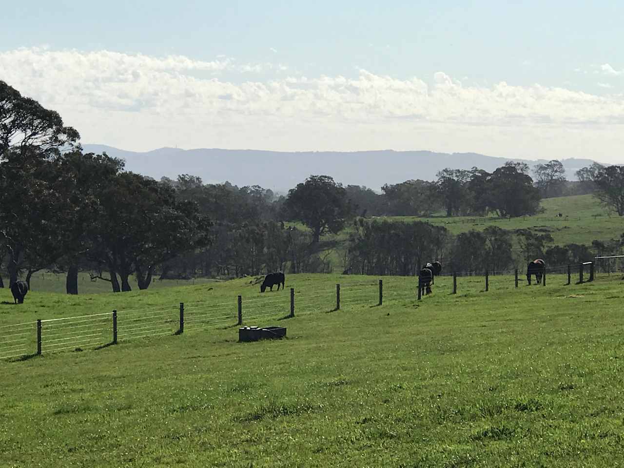 View over Mt Lofty