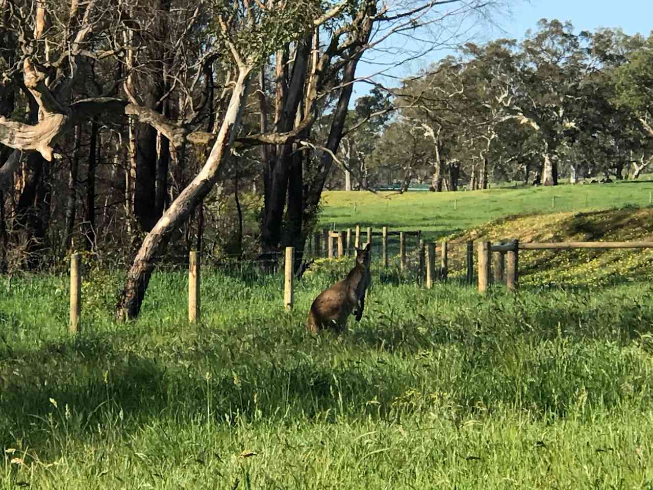 Woodside Farm Stay Adelaide Hills