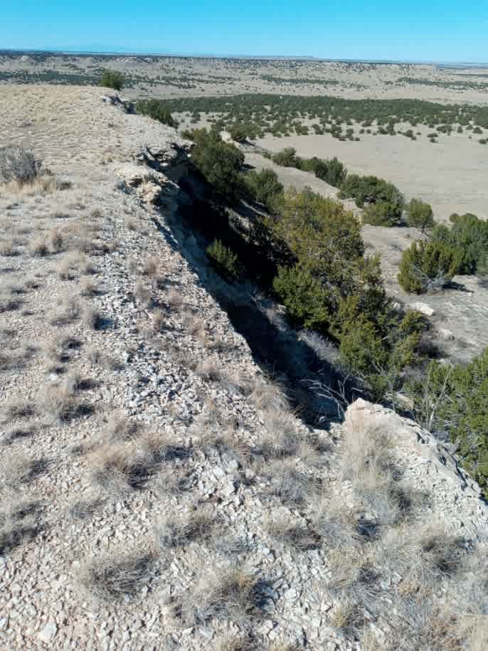 Whispering Wind Desert Oasis