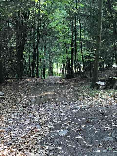 PATH TO THE POND