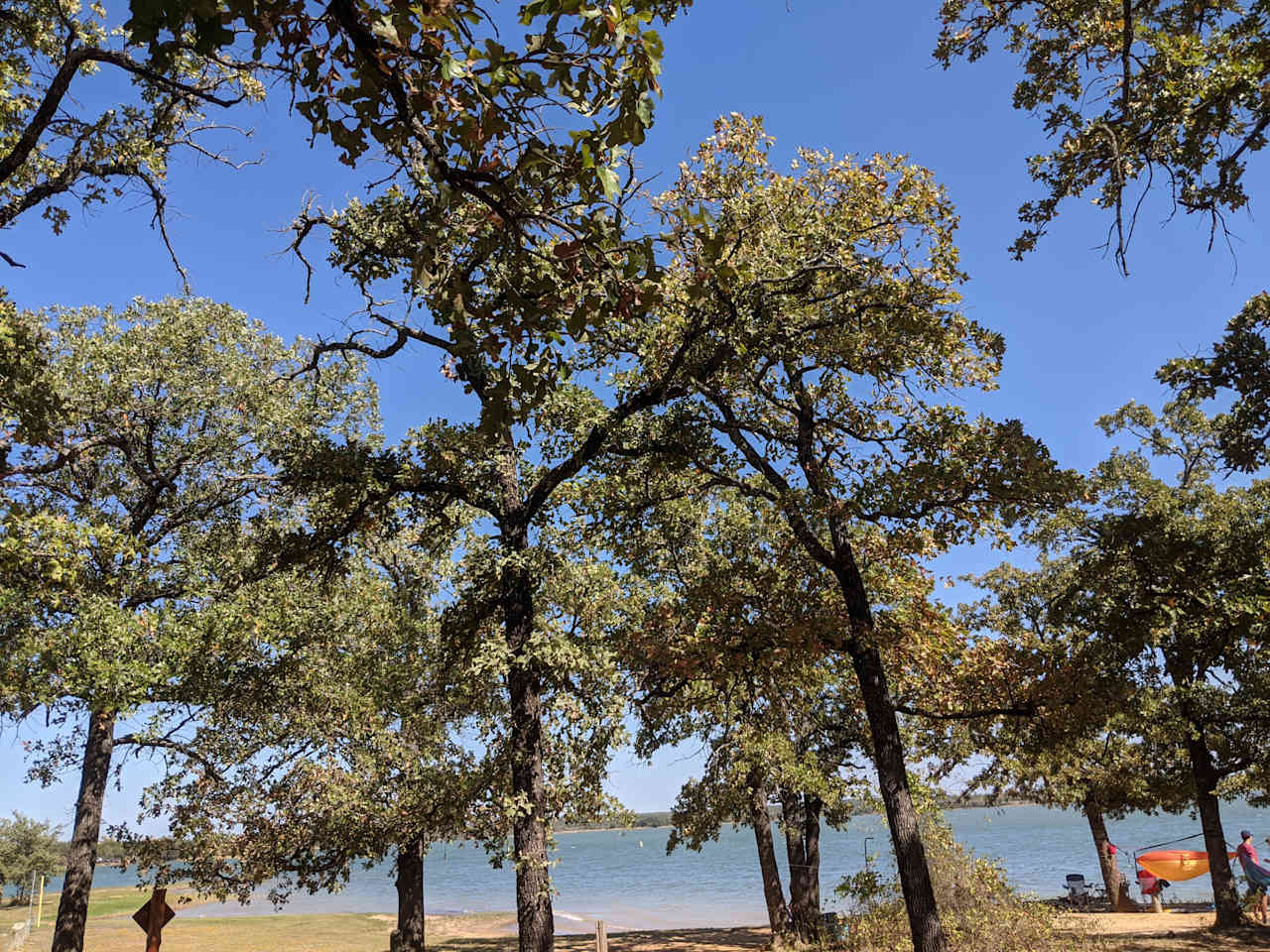 Tipps Point Campground