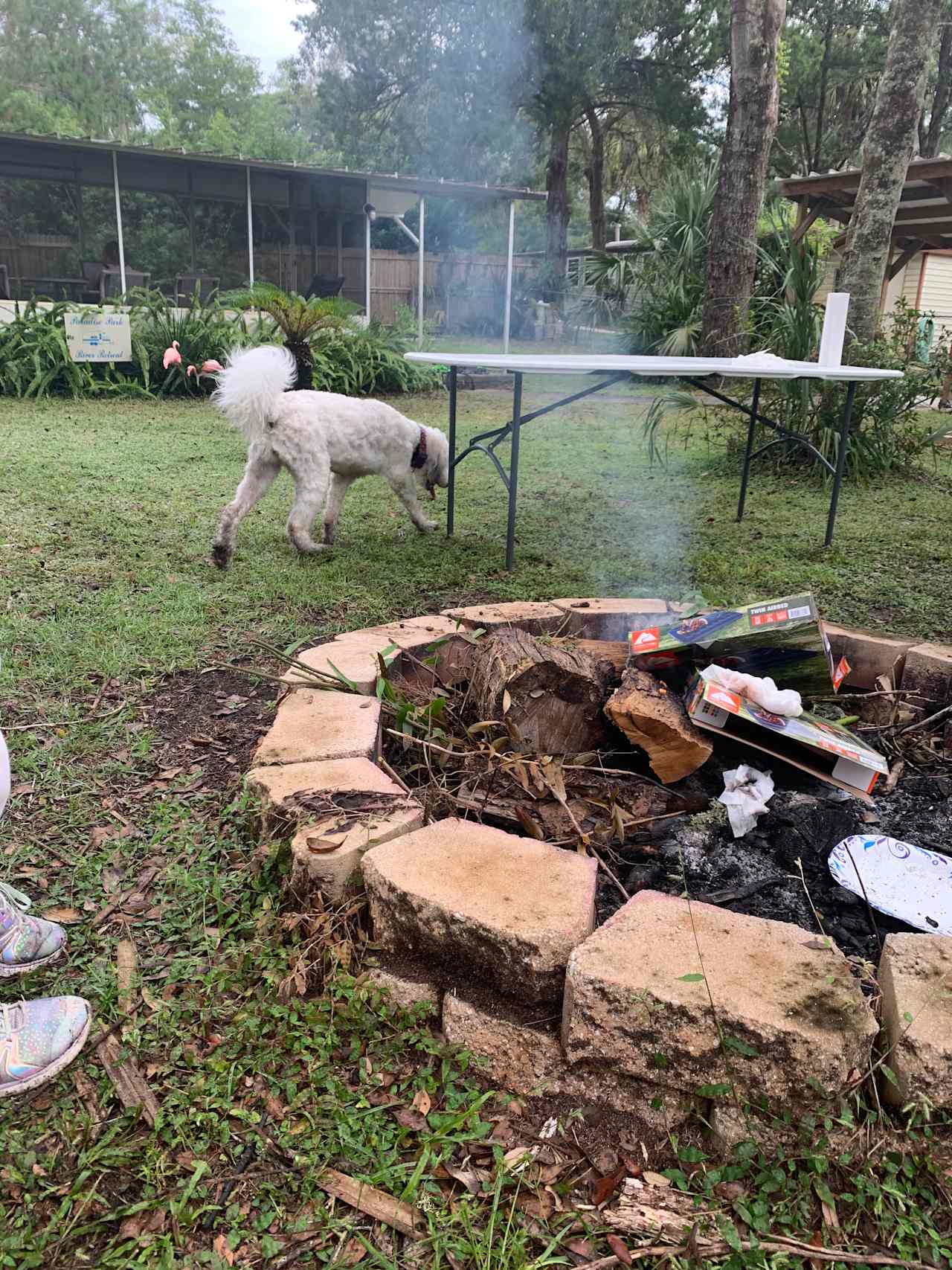 The camp hosts always had a puppy treat in their pockets making our dogs feel welcome, we loved the campfire evenings site came fully stocked with firewood!