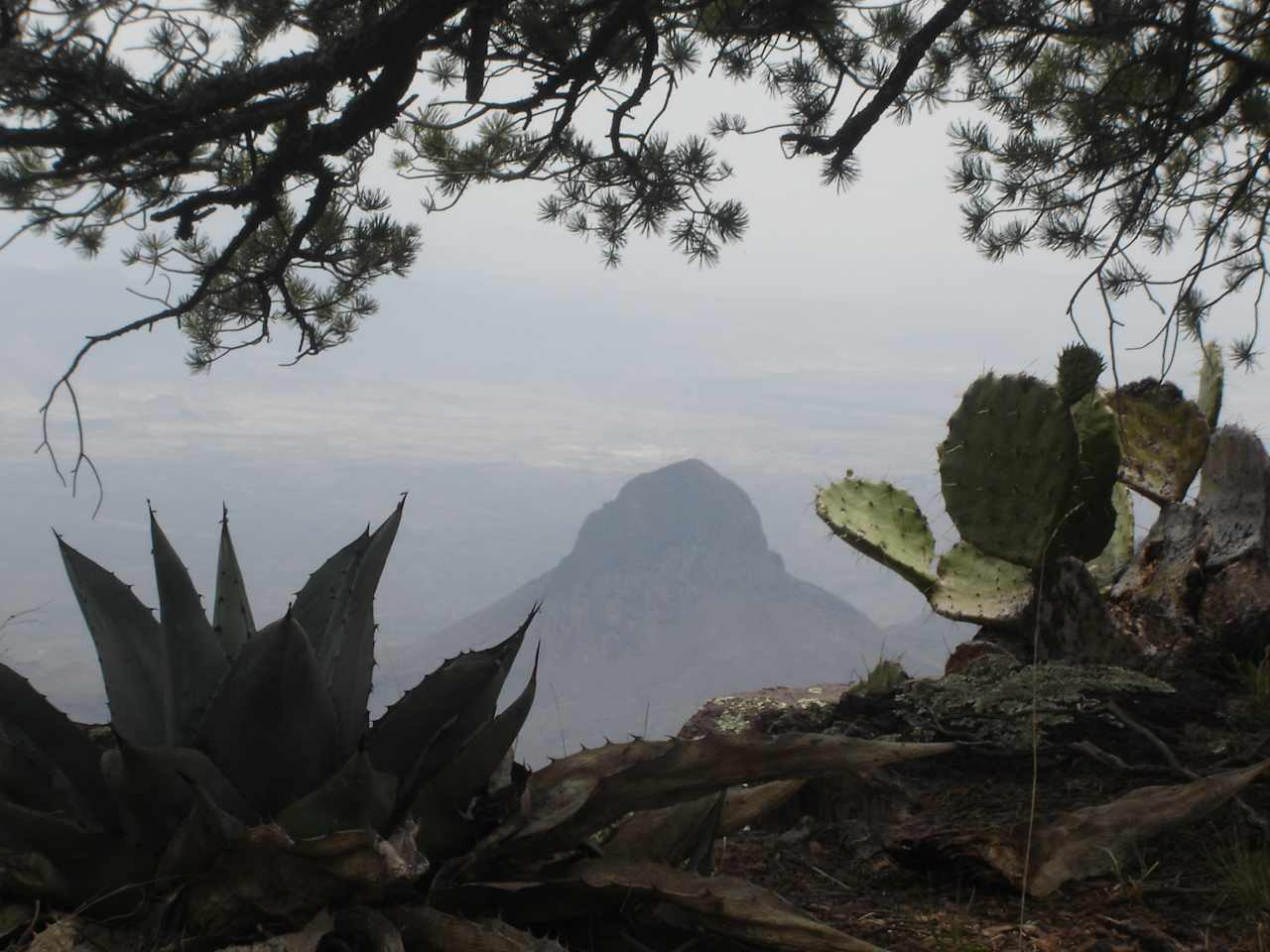 Elephant Tusk from the South Rim in Big Bend National Park