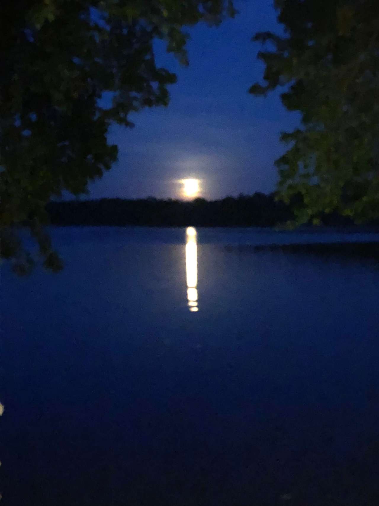 The moon rising over the lake. Looked like a fire the first time we saw it below the horizon. If you time it right, you can float in the water and watch the moon come up :)