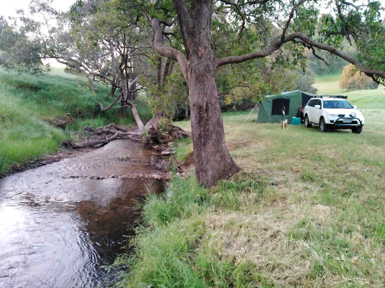 Sheep Gully