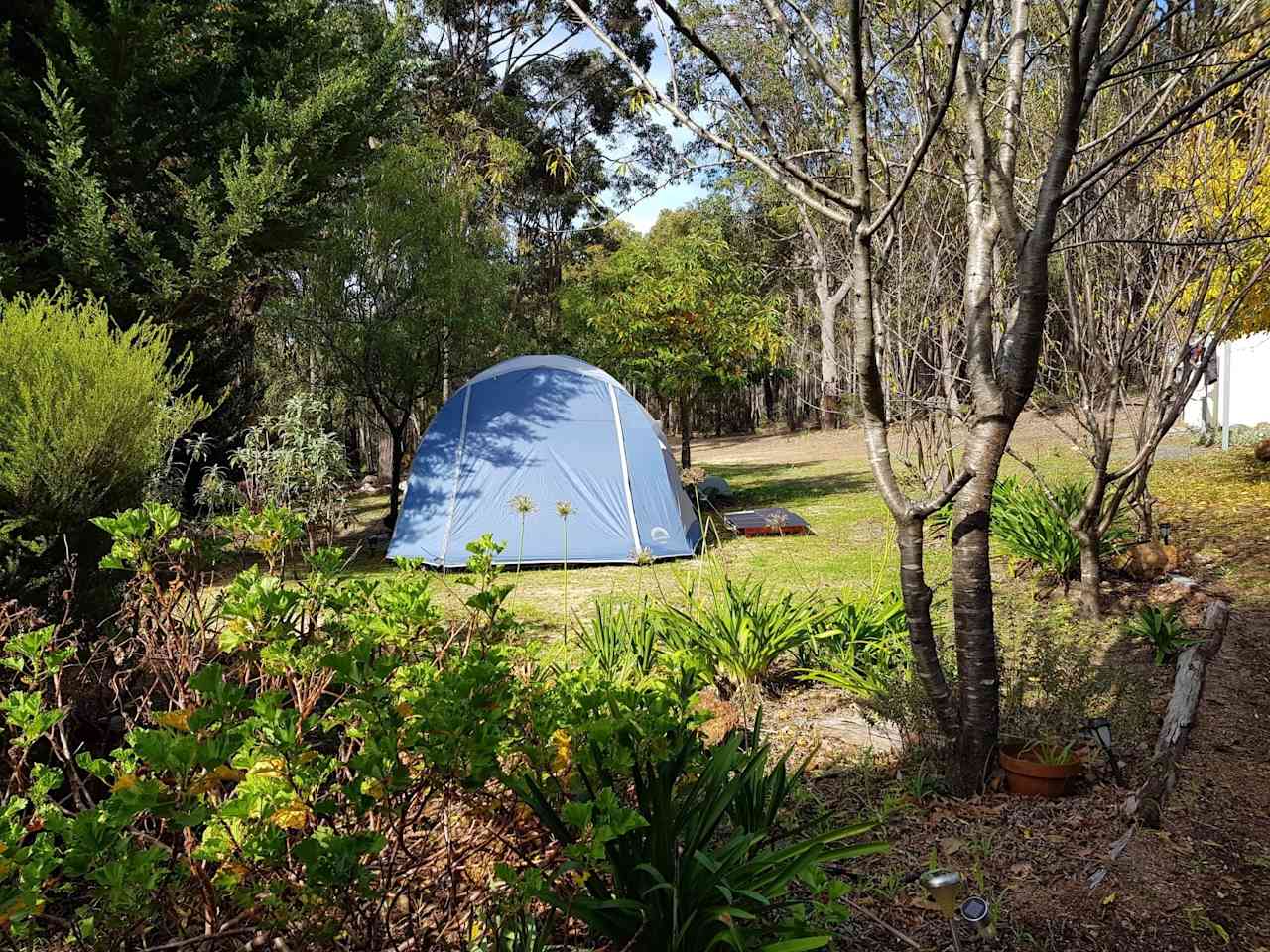 Campground 2 is small, and can fit small to medium tent or small campervan