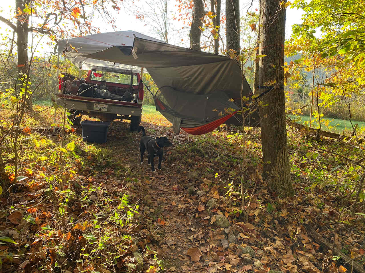 Secluded Black Fox Camping/Camper