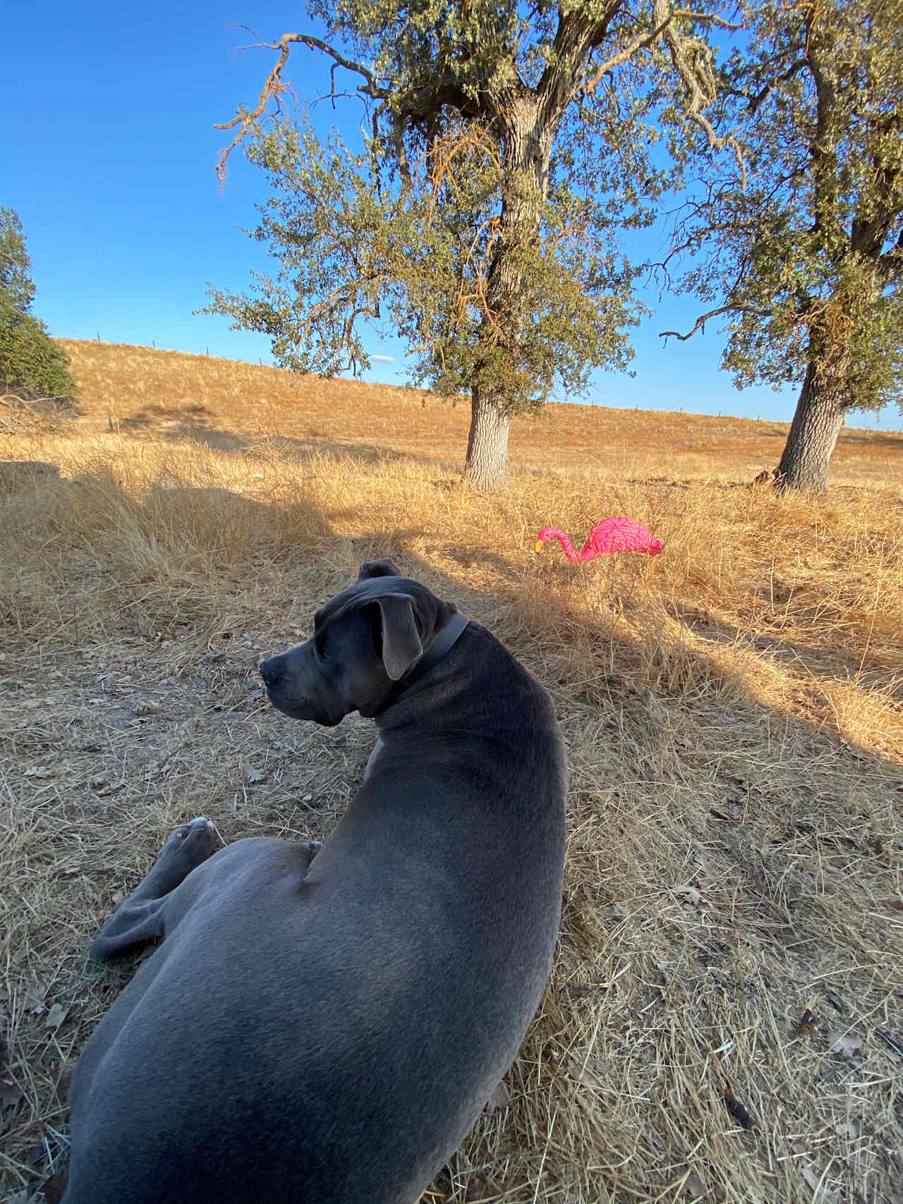 Peaceful 40 acres