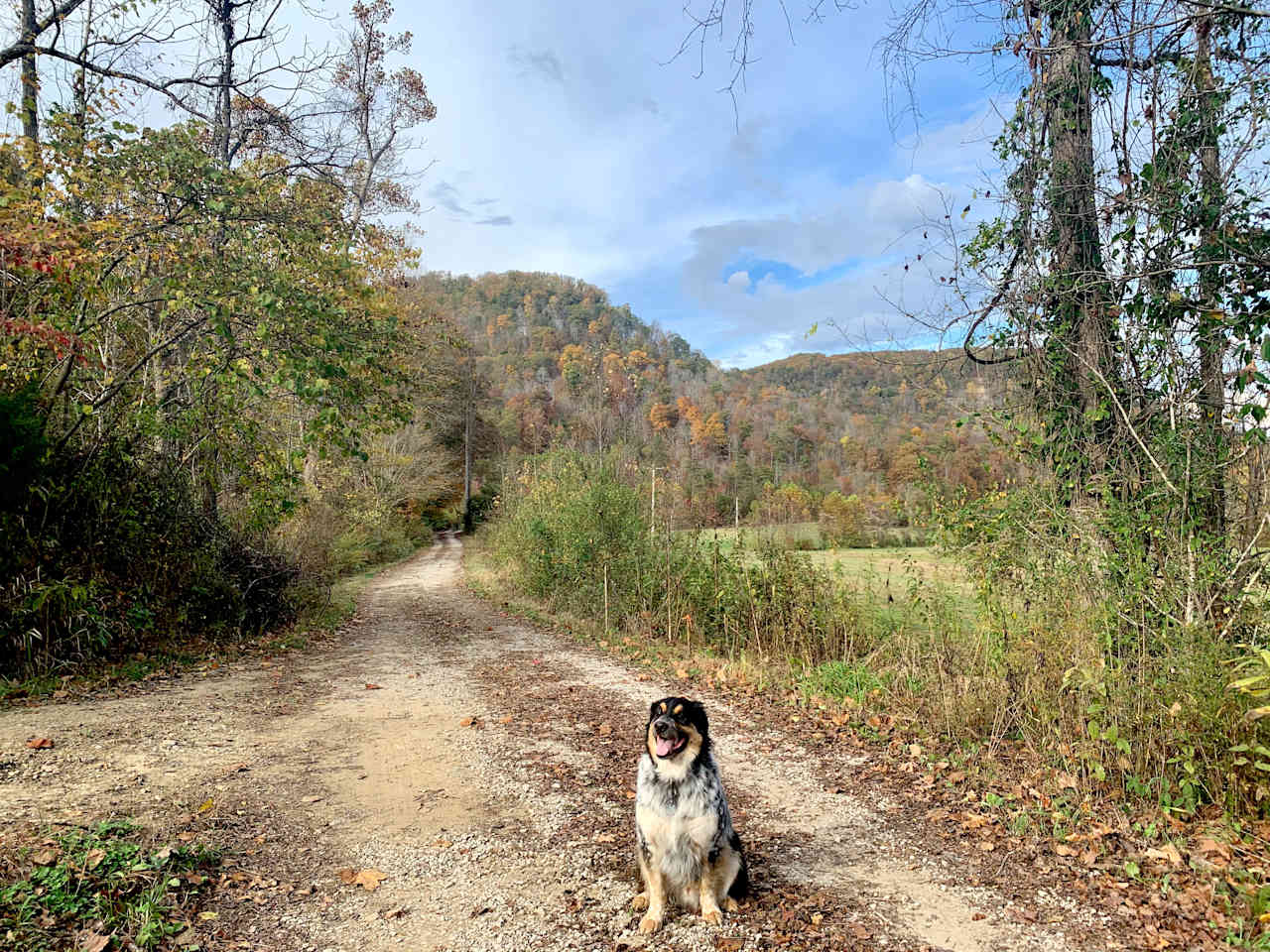 Camp Middle Fork