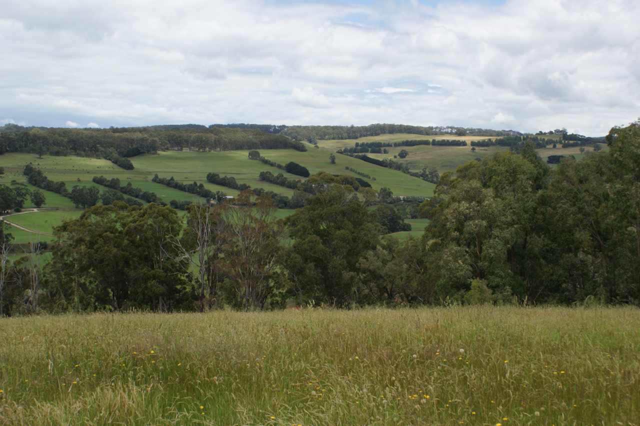 Gorgeous view from paddock two