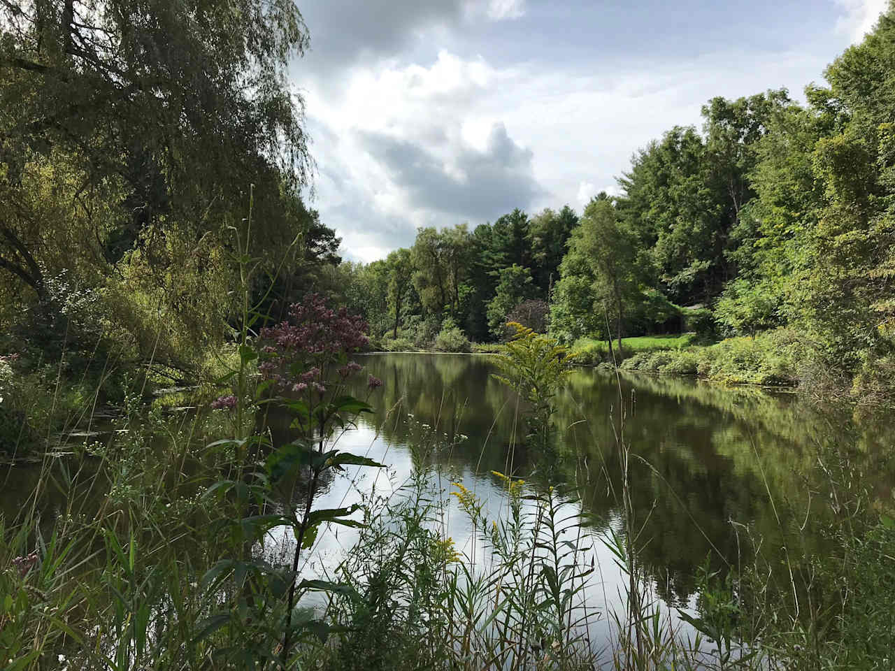 you will be camping beside this pond