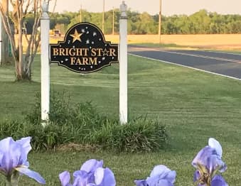 Bright Star Farm