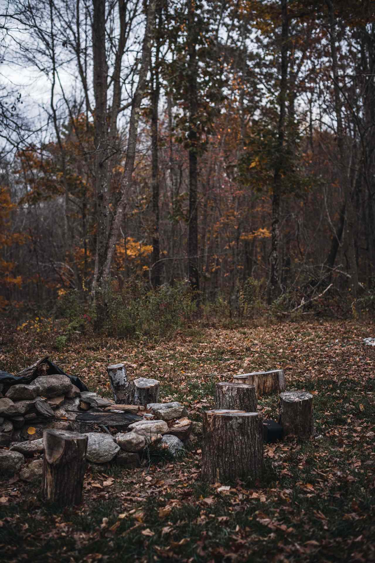 There's a well built fire ring surrounded by tree stump seats