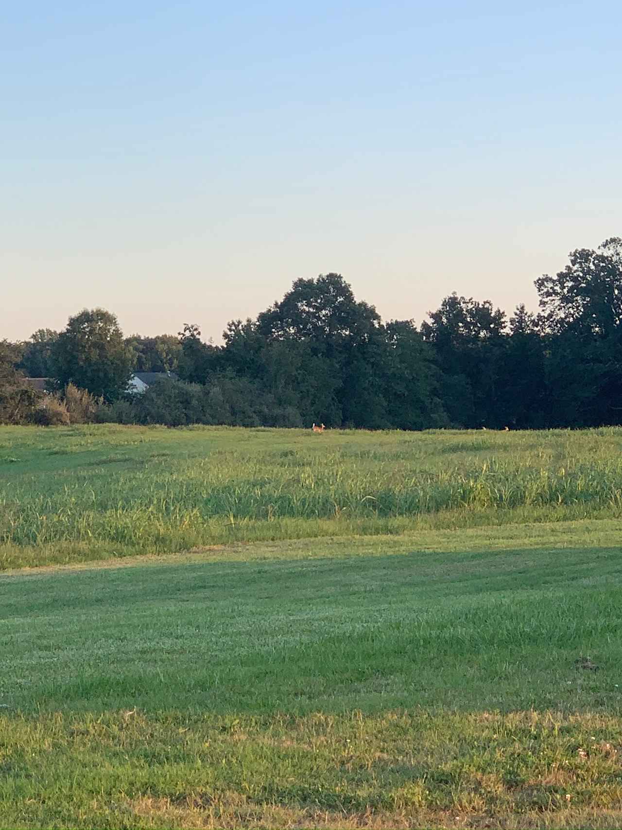 Burton Family Farm a place to relax