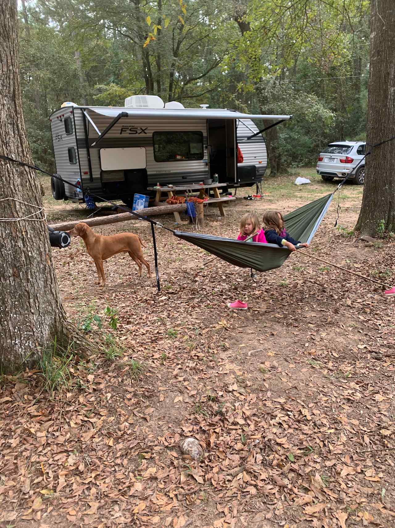 Buck Acres near Lake Conroe, TX