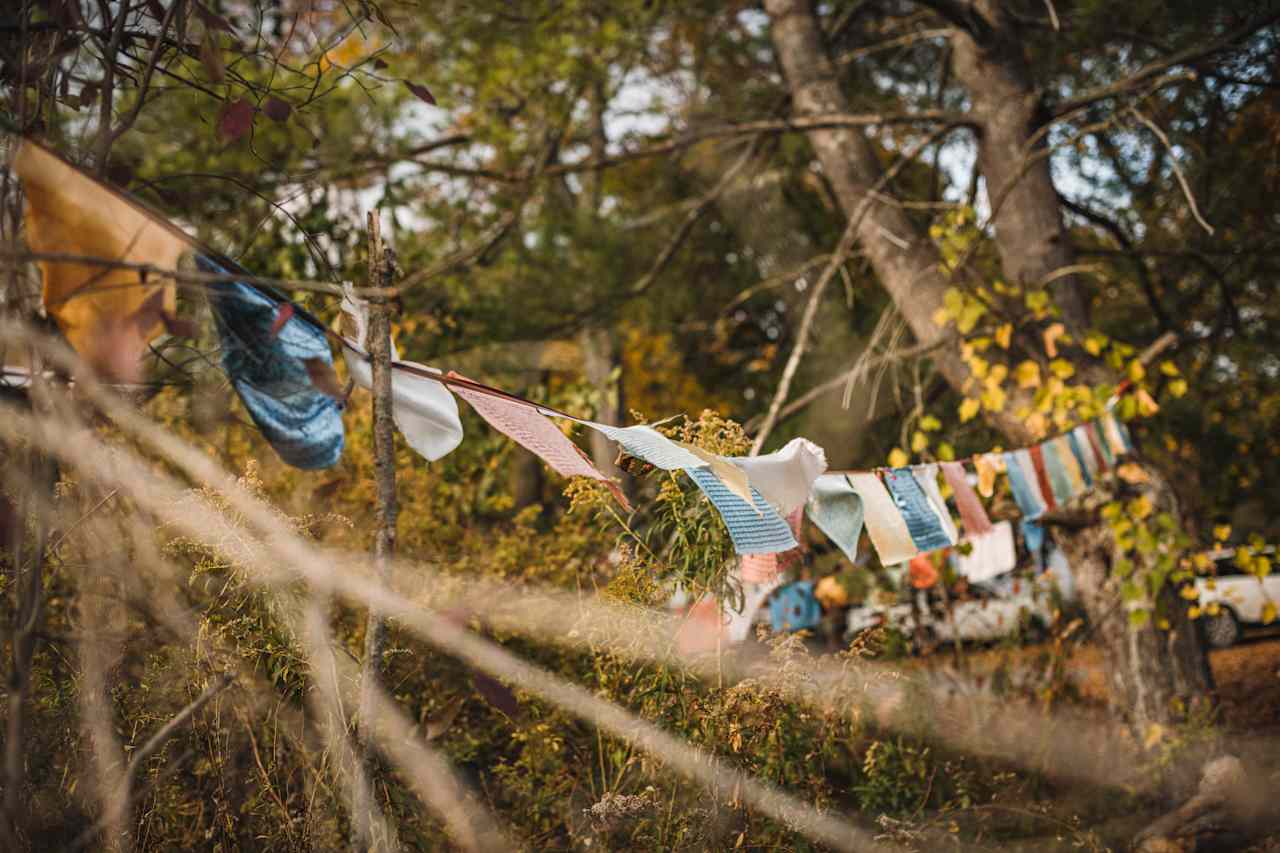 There is an amazing serene energy all through the homestead