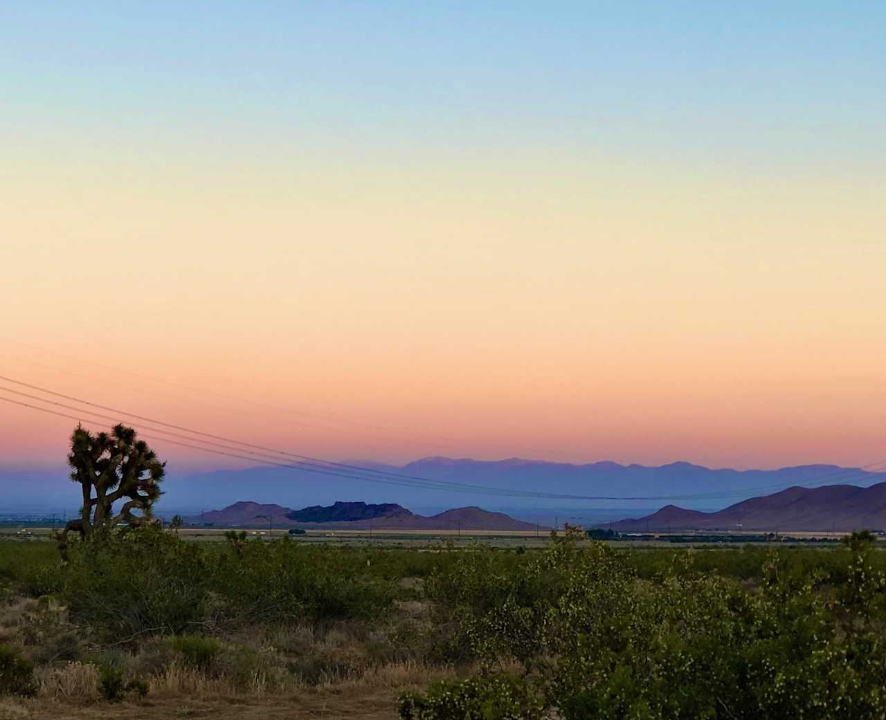 High Desert, Joshua Trees, & Views