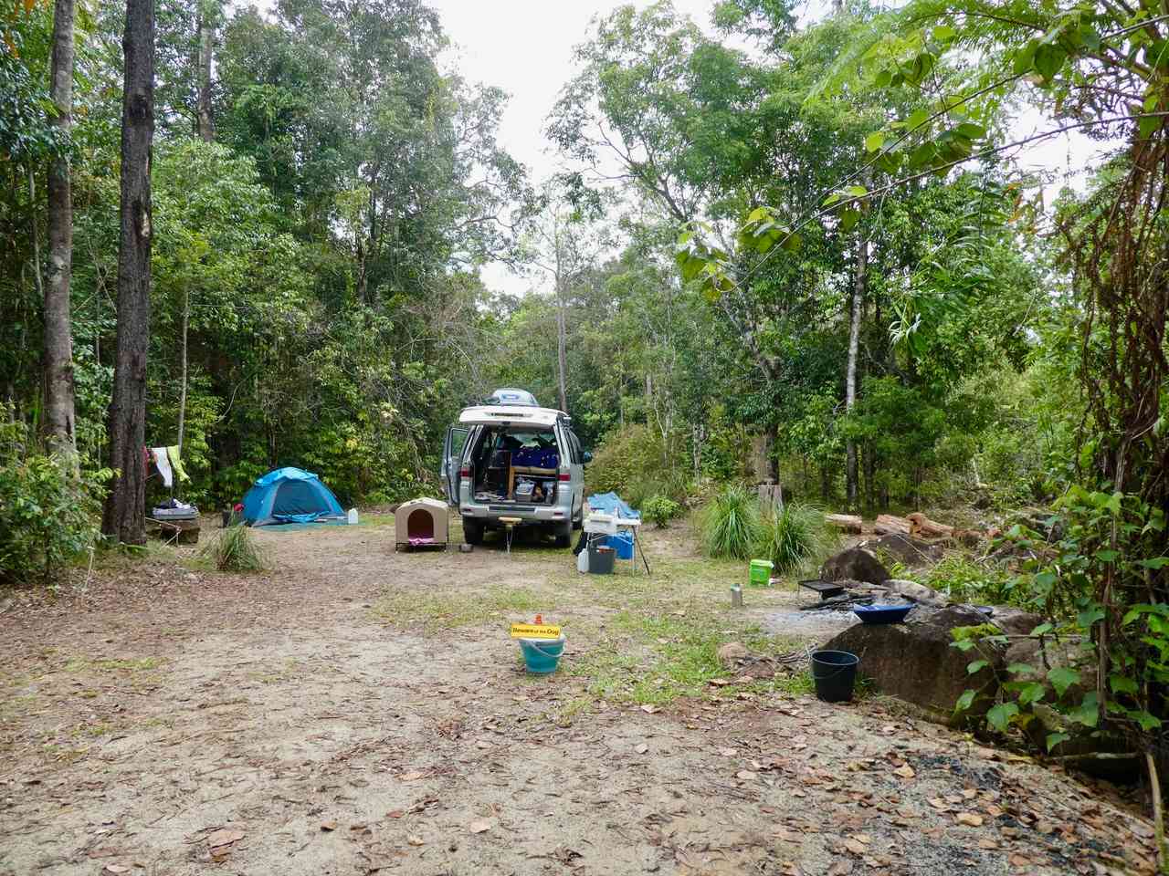 Forest Flying Camping