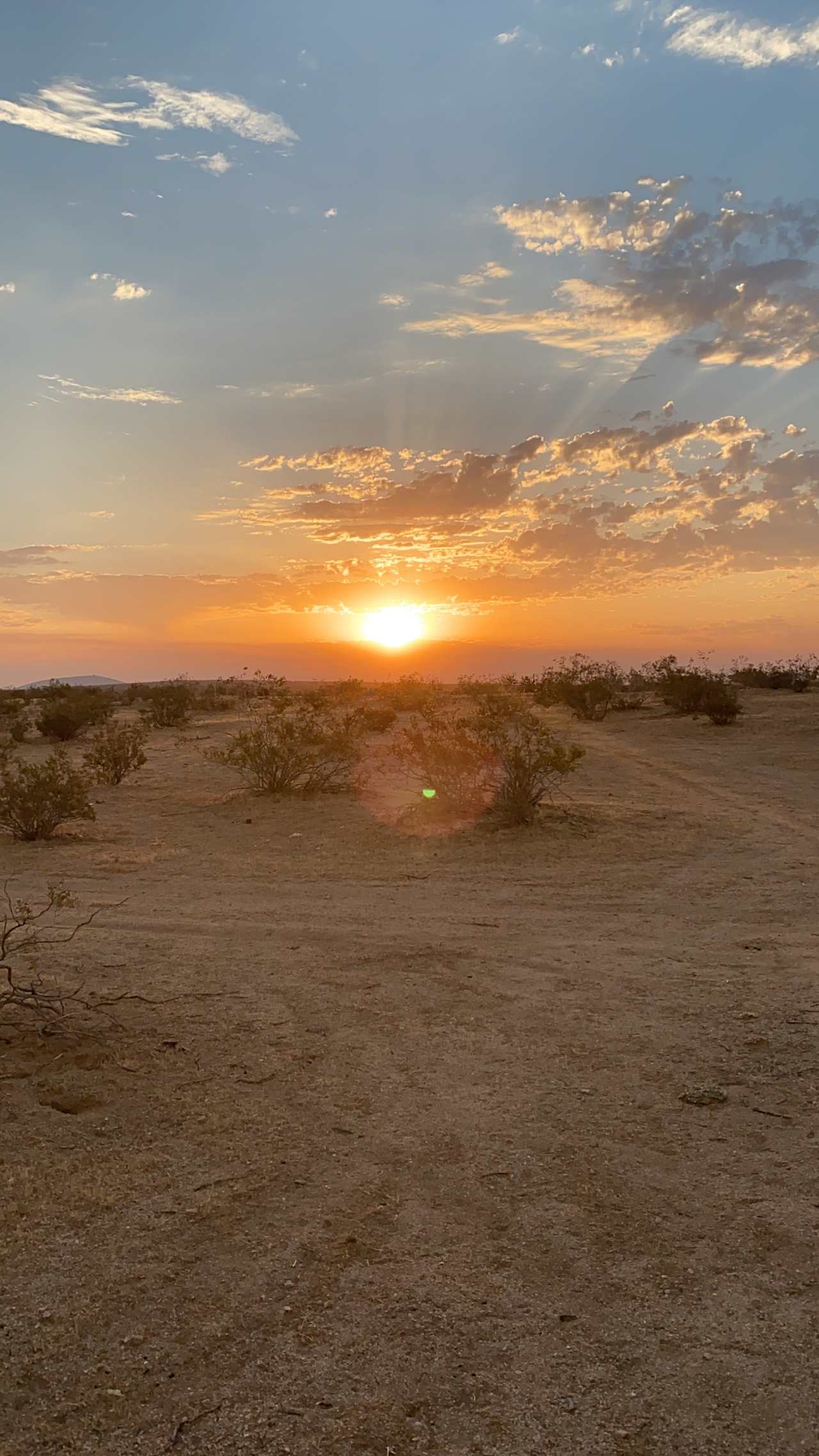 Everyone’s Favorite Desert oasis