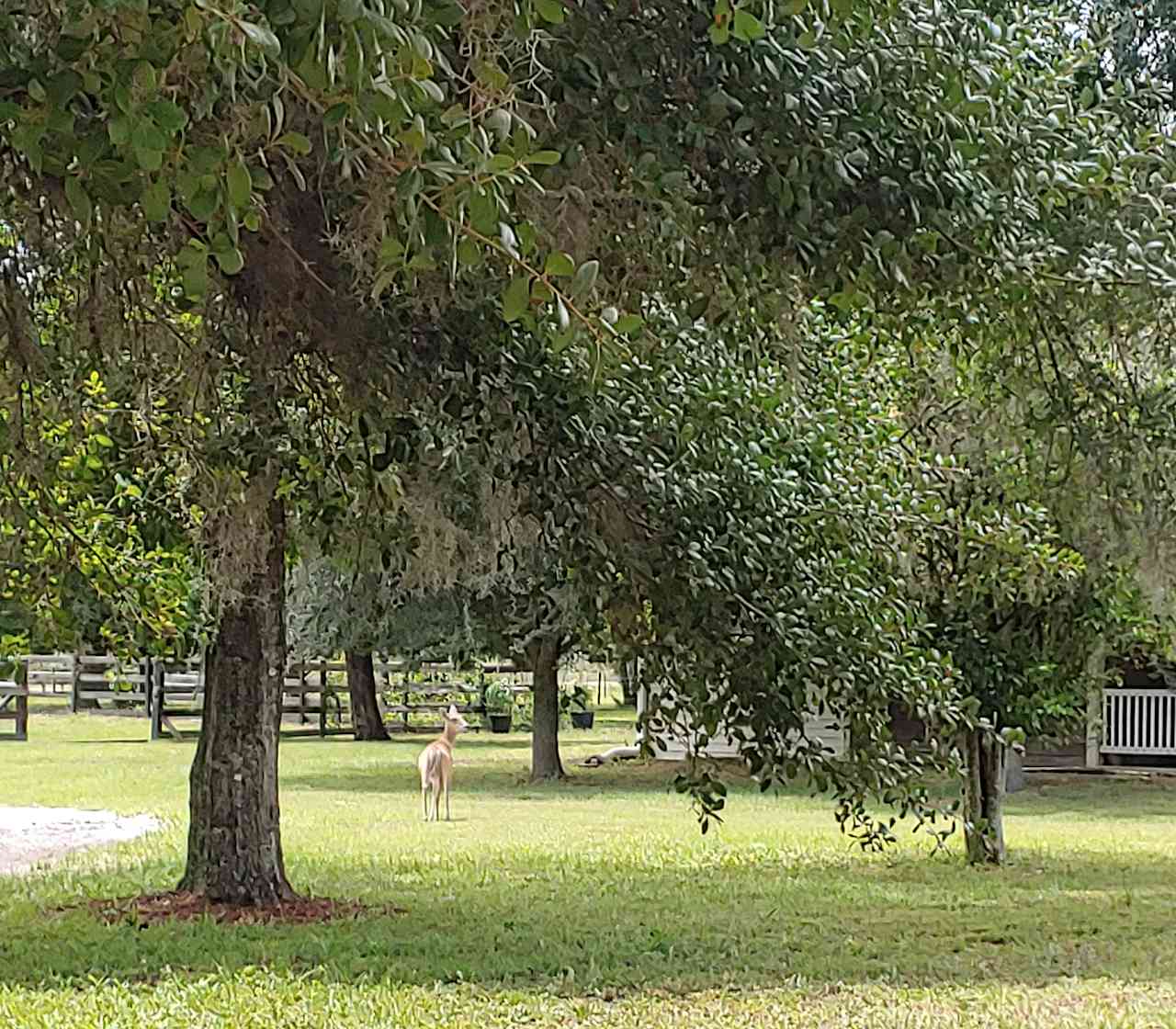 Blue Sky Acres