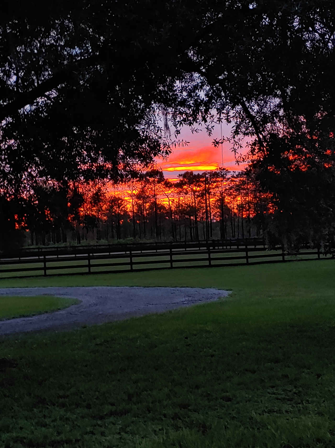 Typical evening view looking West.