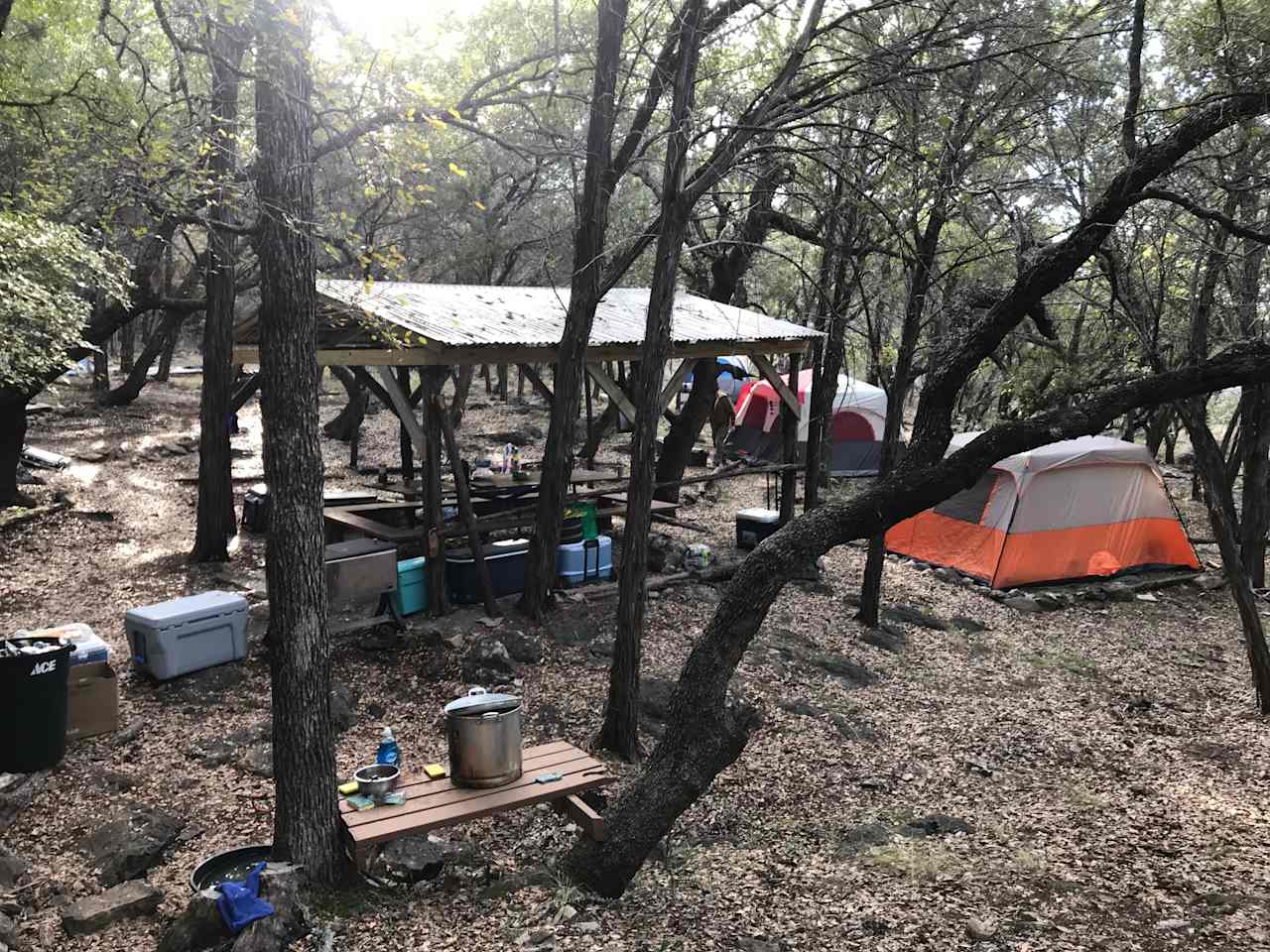 9 level Tent Pads in the woods!