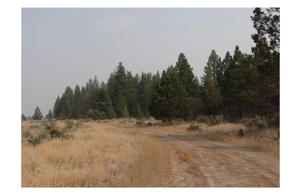 Fun Camper Van Site in S. Oregon