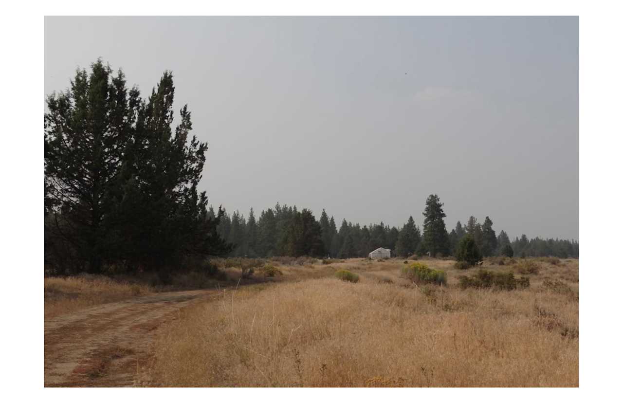 Fun Camper Van Site in S. Oregon