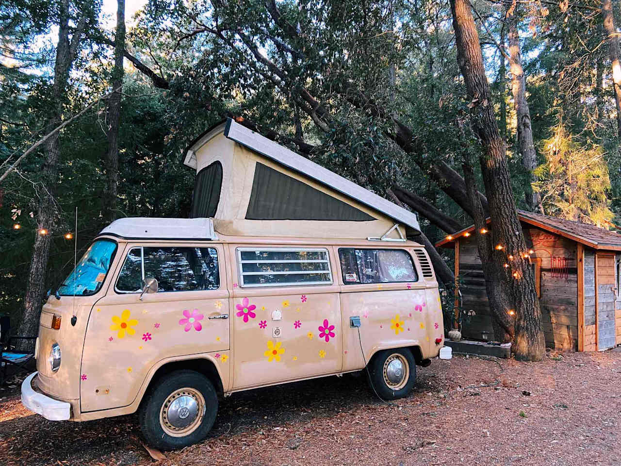 Redwoods Mountain Getaway