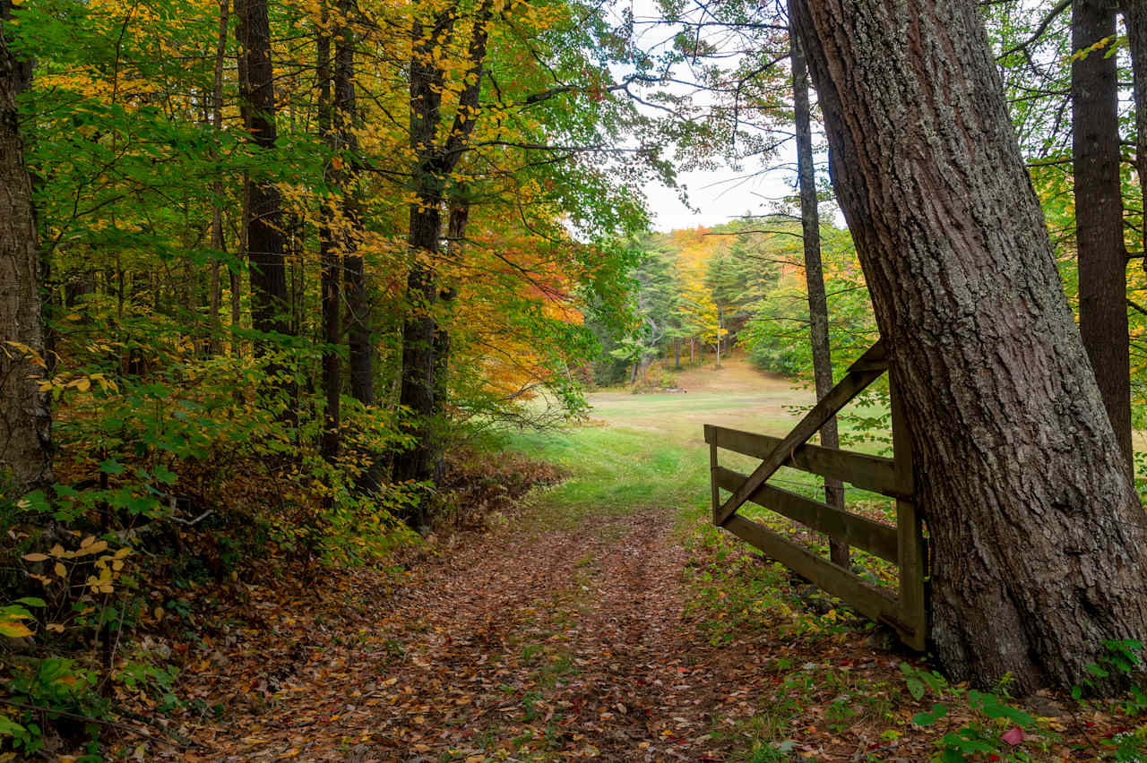 Entry from the wooded sites, to the meadow sites