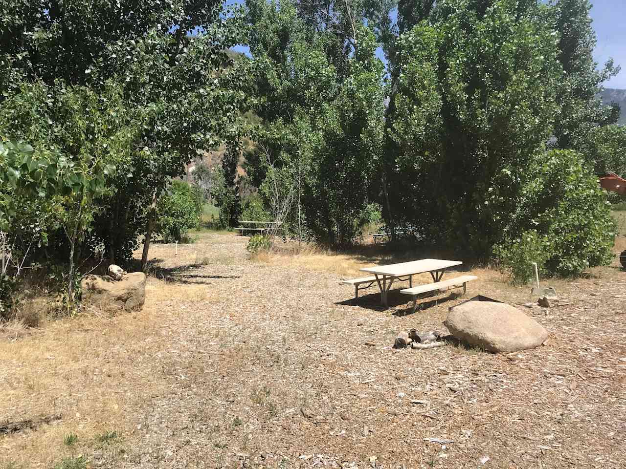 Kings Canyon Campground