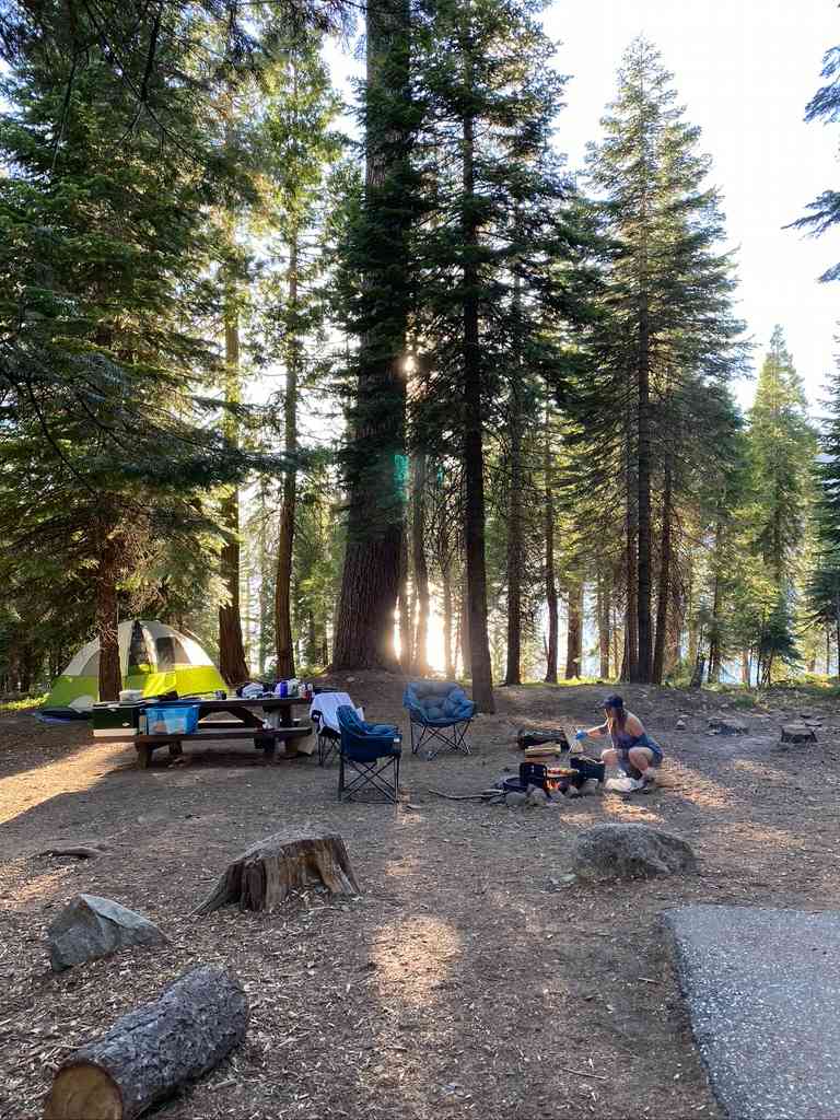 Campsite, with water gleaming behind.